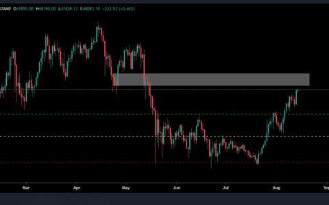 2021 年 8 月 14 日比特币 (BTC) 市场评测