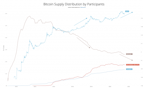 比特币越来越不受鲸鱼的困扰，硬币分布得更好