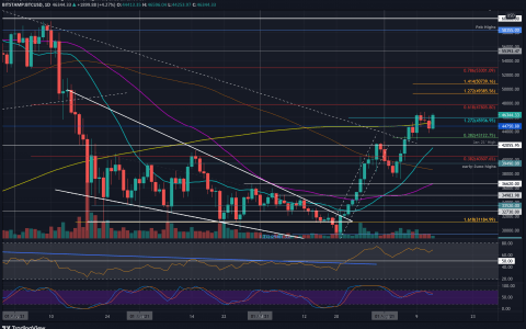 8 月 13 日的加密货币价格分析和概览：比特币、以太坊、瑞波币、卡尔达诺和币安币。