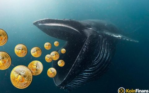 比特币大鲸鱼濒临灭绝——去中心化将增加