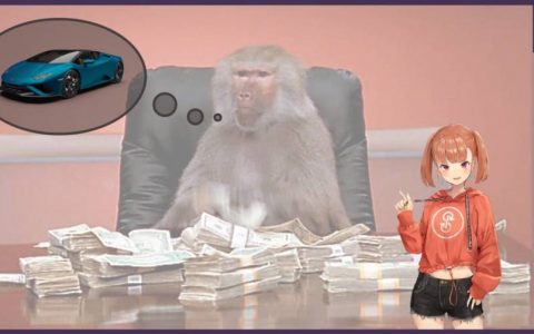 DeFi 协议如何向投机者征税？「猿人税」了解一下