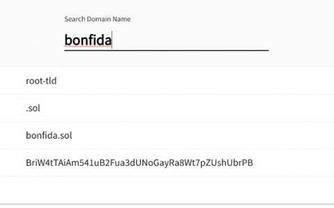 手把手教你玩转 Bonfida 推出的 Solana 域名服务