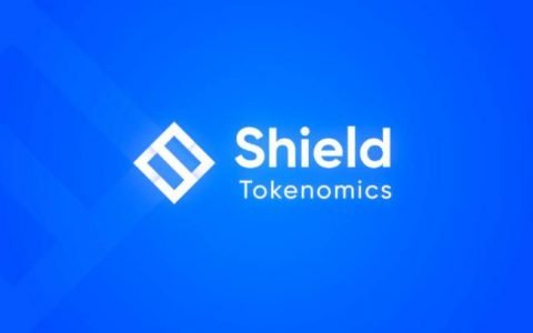 从非合作博弈理解 DeFi 衍生品协议 Shield 治理与代币机制