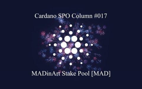 Cardano SPO 专栏：MADinArt 权益矿池 [MAD]