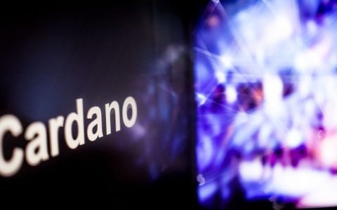 卡尔达诺（ADA）终于在其第一个完全公开的测试网上推出了智能合约