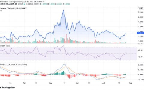 投资组合专家宣布加密货币将在比特币和以太坊之后成为主流