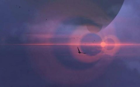 NFT 笔记：关于 NFT 的 61 条思考