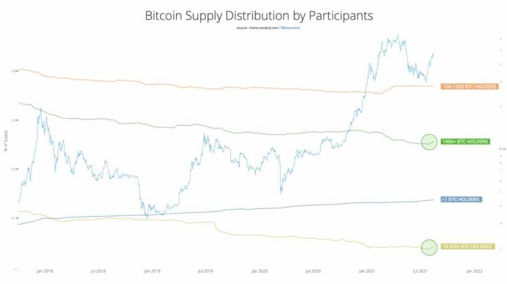 每日市场：比特币在上涨 5 周后突破阻力位 50,000 美元