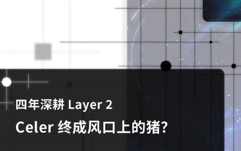 深耕 Layer 2 四年，Celer 终成风口上的猪？
