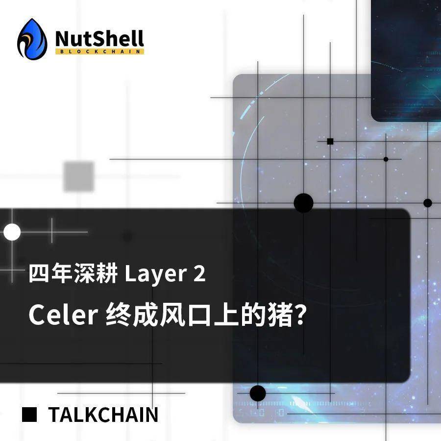 深耕 Layer 2 四年，Celer 终成风口上的猪？