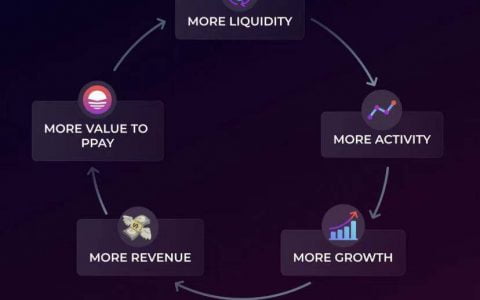 PlasmaFinance 流动性挖矿：DeFi 用户和 PPAY 持币者一举三得