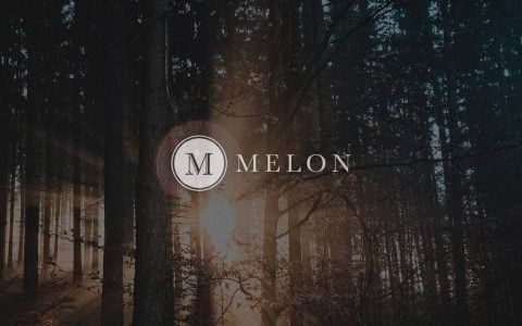 DeFi 资产管理赛道受热捧，改进后的 Melon 潜力与掣肘在哪？
