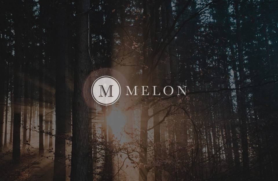 DeFi 资产管理赛道受热捧，改进后的 Melon 潜力与掣肘在哪？