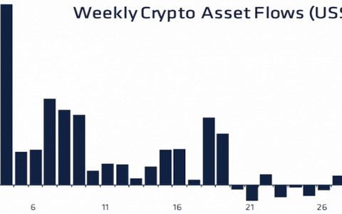 NFT 交易额创历史新高，机构主义者不支持比特币的增长