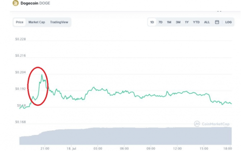 随着代币再次增加 10%，埃隆马斯克仍然影响 DOGE