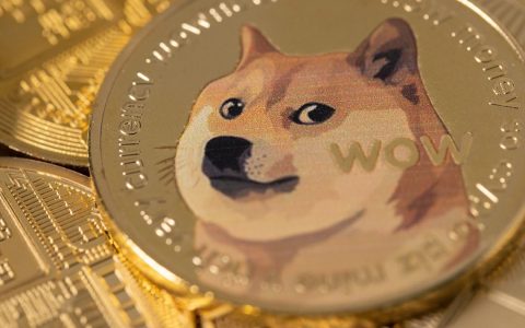 狗狗币和 PAWS 芝加哥：加密货币捐赠以帮助动物