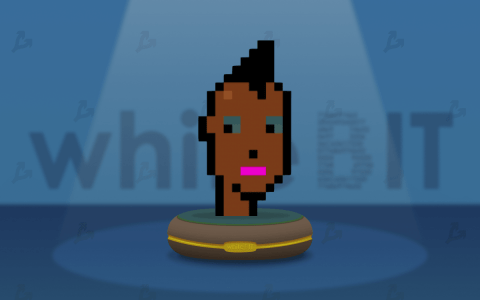 加密货币交易所 WhiteBIT 以 250,000 美元的价格收购了 CryptoPunk