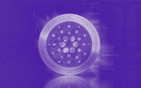 Cardano 新闻：去中心化交易所 Cardax 赚了 150 万美元