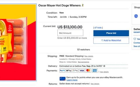 这是第一个受热狗启发的狗狗币，不要错过