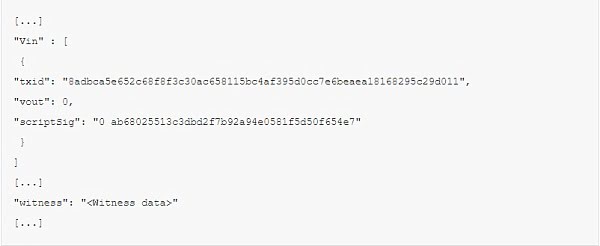 详尽解释隔离见证