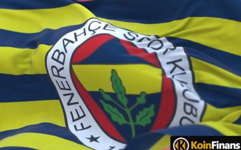 费内巴切代币发布 以下是预售详情