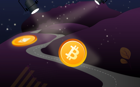 Glassnode：比特币涨势不受基本面的支持