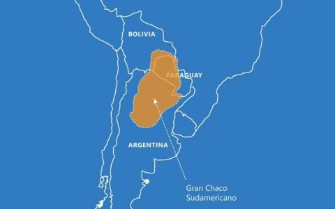 与 NFT 合作的玻利维亚艺术项目将获得 100,000 美元用于在阿根廷申请