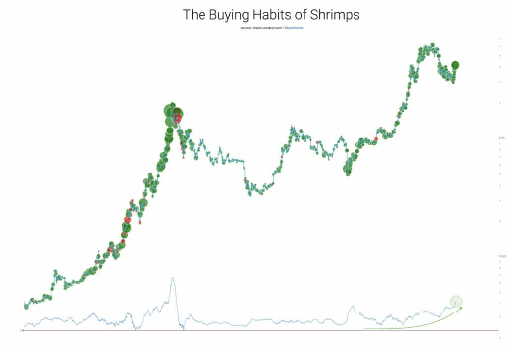 Willy Woo 表示，比特币市场是买家的集市