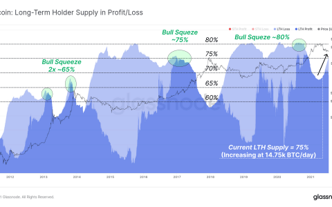 Glassnode 报告：长期投资者持有 75% 的比特币供应