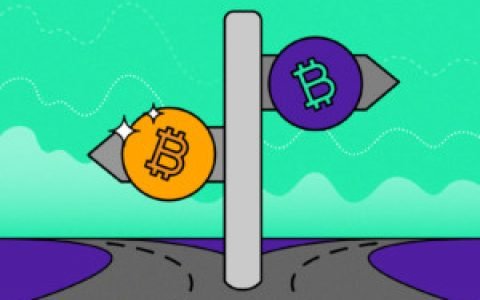 比特币会议：埃隆马斯克作为现场谈话的参与者