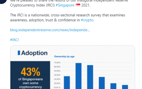 新加坡——该国近一半人口拥有一些加密货币
