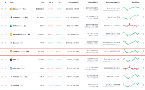 狗狗币：一种漫画加密货币的历史和前景