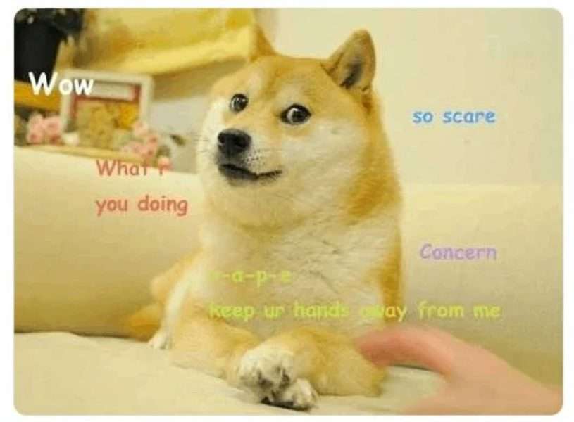 狗狗币：一种漫画加密货币的历史和前景