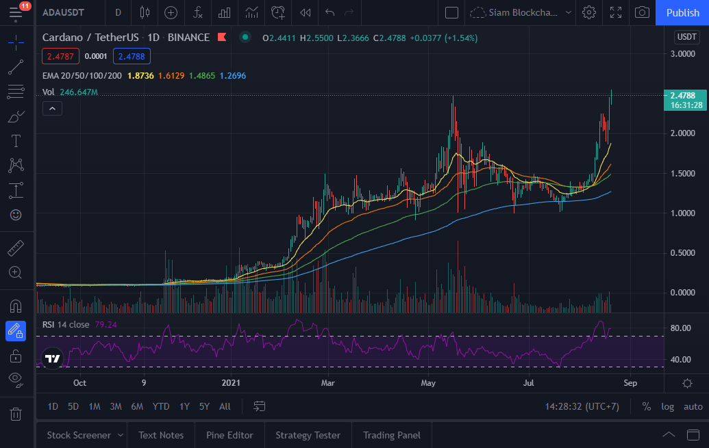 下周你应该真正关注的 3 种加密货币