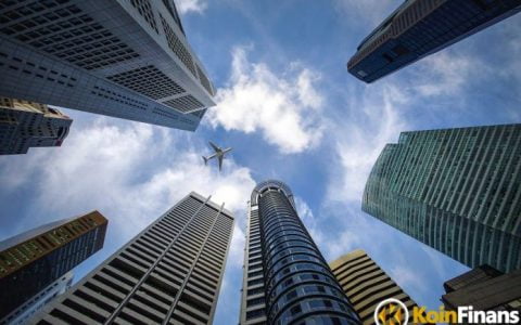 随着机构资金远离比特币和以太坊，这些山寨币看到了一些条目