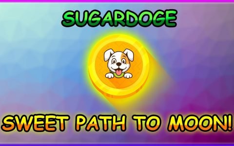 SUGARDOGE 及其 BNB 收益功能显示了团队对盈利方可持续性的持续承诺