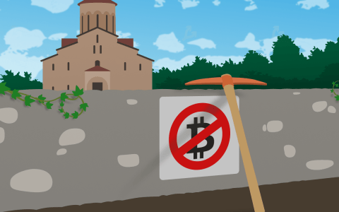 在阿布哈兹村庄抓获 82 名 ASIC 矿工