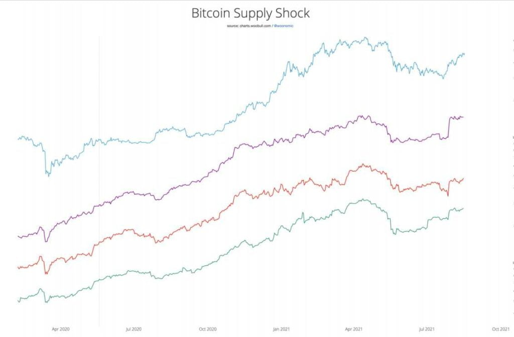 Willy Woo 称，比特币的增持仍在继续，其供应量已降至最大