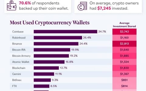 美国人在购买比特币时对其安全性了解多少