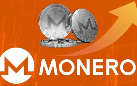 前门罗币开发商 FluffyPony 因欺诈被捕：报告