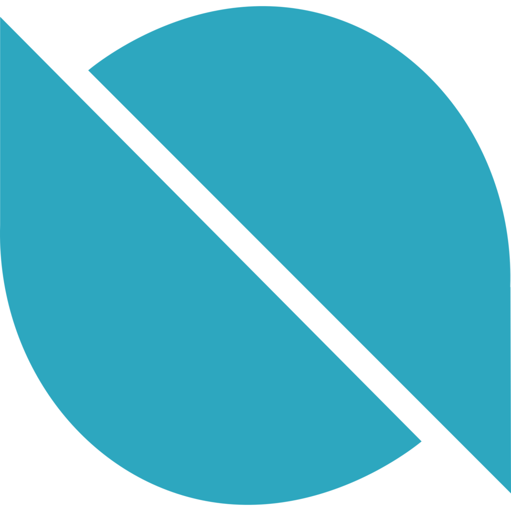 山寨币解释：30种最受欢迎的硬币的4句描述