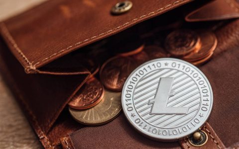 莱特币、狗狗币：LTC 和 DOGE 的价格分析