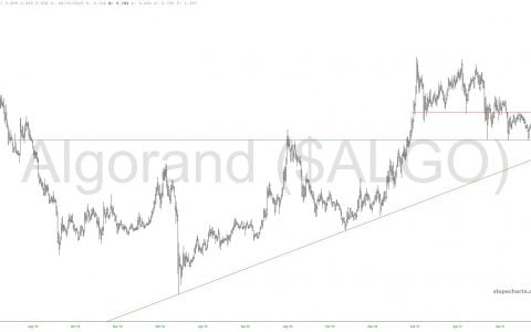 对加密货币的耐心美德