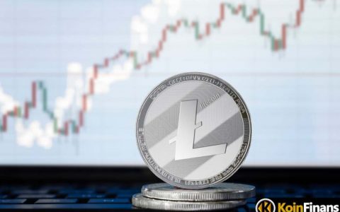 莱特币的热门交易者警报