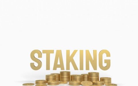 作为散户加密货币投资者进行质押