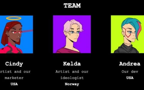 NFT 女权主义项目背后的“女性”实际上是男性