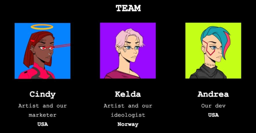 NFT 女权主义项目背后的“女性”实际上是男性