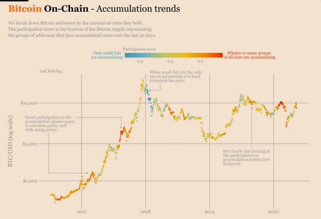 从小鱼到鲸鱼：每个人都增持了更多的比特币