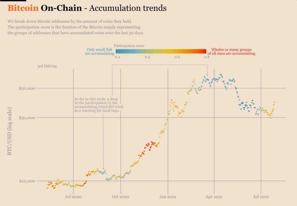从小鱼到鲸鱼：每个人都增持了更多的比特币