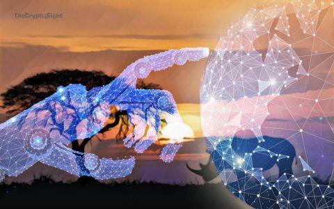 联合国委托区块链网络运营 NFT项目以应对气候变化